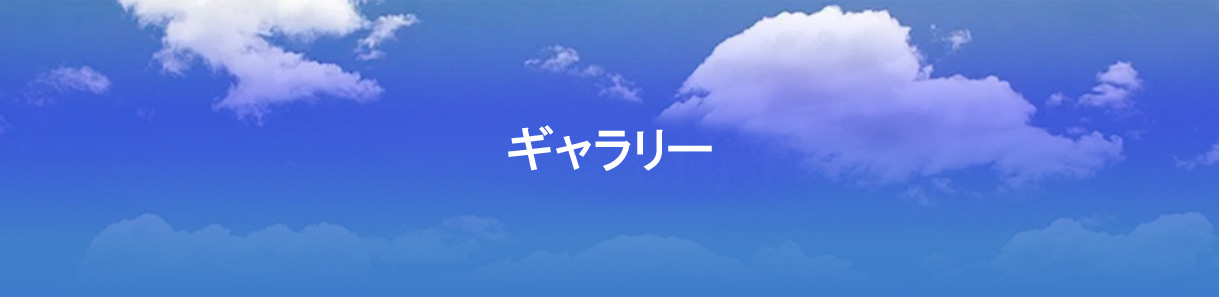 ギャラリー